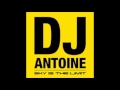 Beautiful Liar - DJ Antonie