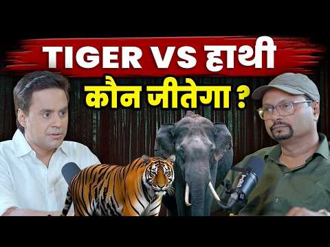 Tiger या हाथी कौन है ज्यादा ताकतवर ? | @VivekAwasthiVlogs  | @RJRaunac