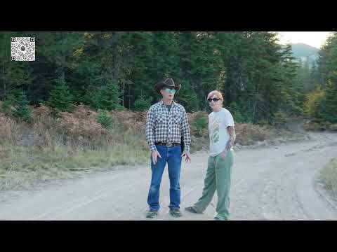 Lolo National Forest with MJ and Chloe Cover
