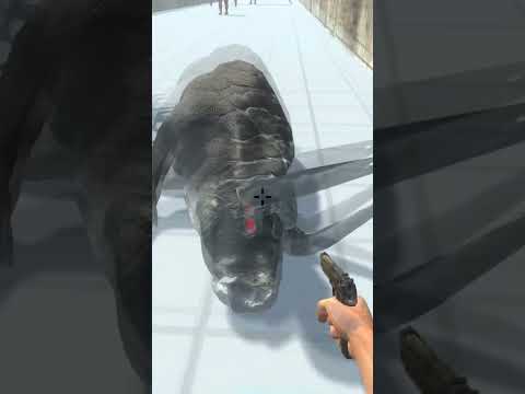 Help Scourge In Death Run Vs All Units - Animal Revolt Battle Simulator