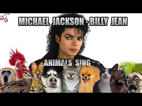 Michael Jackson - Billie Jean (Animal Cover)