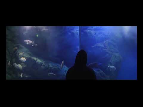 [FREE] Népal x Nekfeu Type Beat "Sauvetage" (Prod. Layonback)