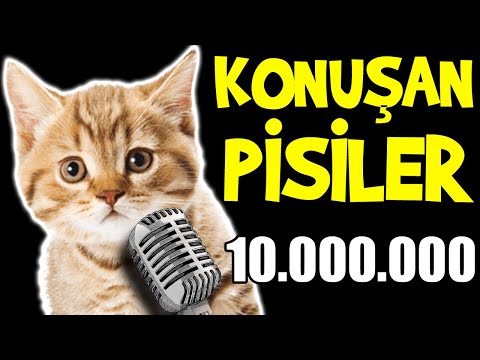 Konuşan Pisiler 10.000.000 - En Komik Kedi Videoları