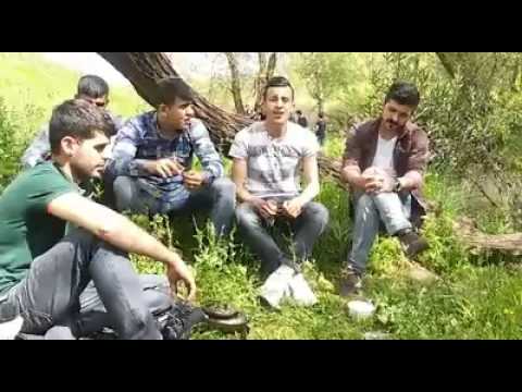 Cizrelilerden güzel bir ses- nuda buka kurdıstan