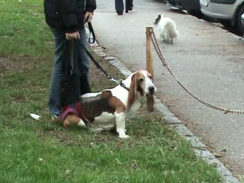 Matýsek se učí znovu chodit