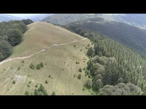 Pe dealuri de ciobani, in PRAHOVA