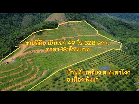 ขายที่ดินเนินเขา เนื้อที่ 49 ไร่ 328 ตารางวา ราคา 18 ล้านบาท ตำบลทุ่งคาโงก อำเภอเมือง จังหวัดพังงา - video