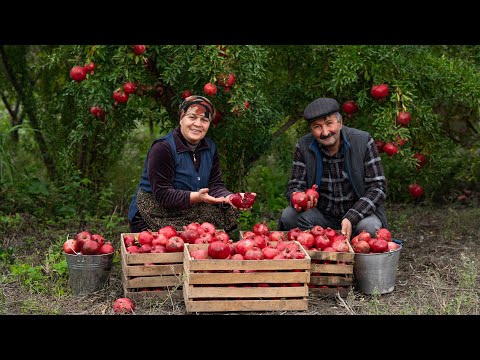 Pomegranate Narsharab Sauce Recipe | Traditional and Delicious Azerbaijani Flavor