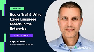 Buy or Train? Using Large Language Models in the Enterprise