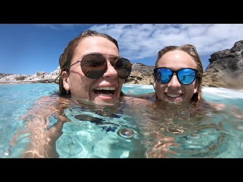 Don't Play With Surges Kids, Play With Dolphins [S01:E12]