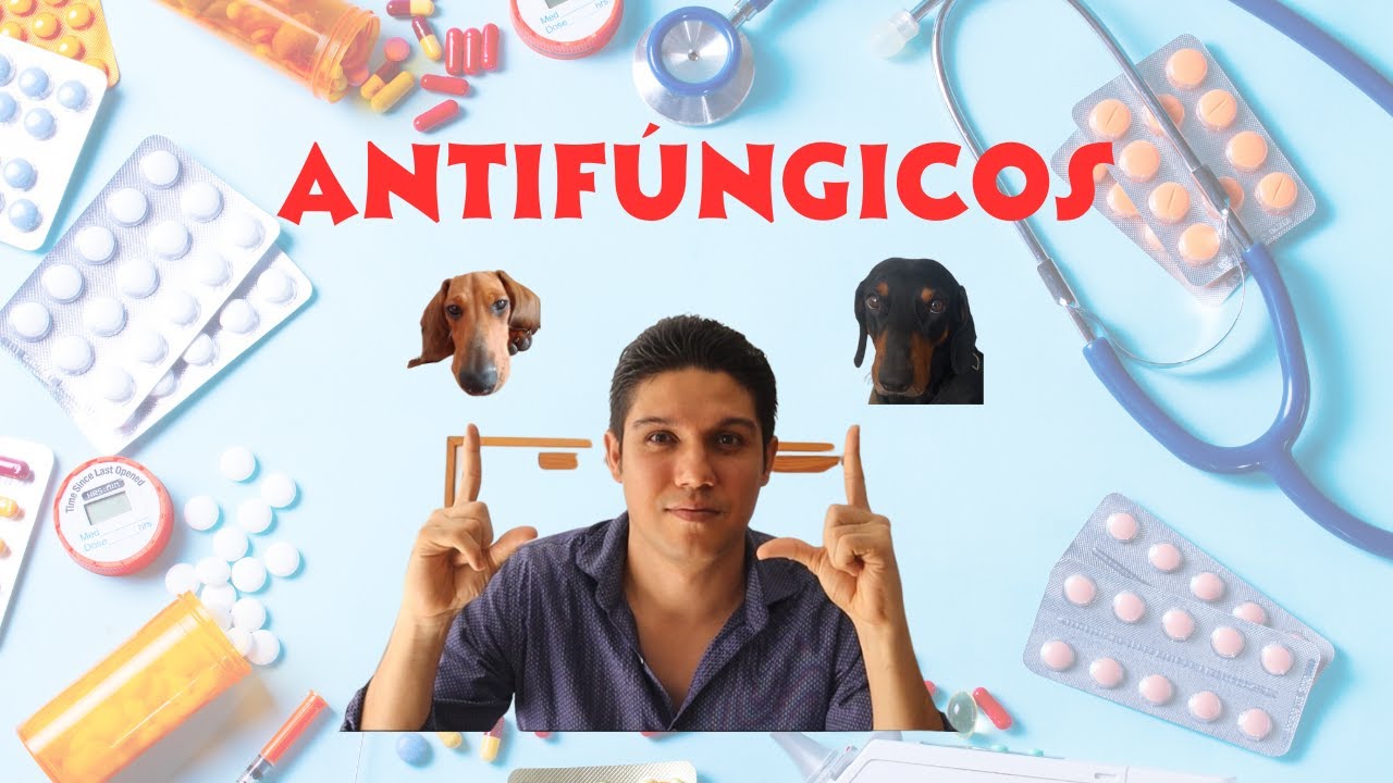 Antifúngicos