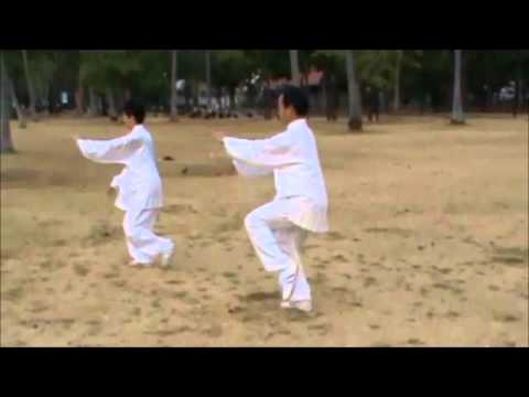 TaiChi 13 Steps by Sifu Daniel Tan