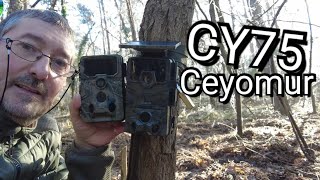 Schachzug Ceyomur