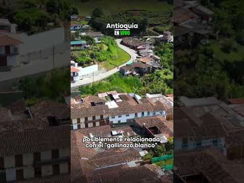 ¿Sabía esto? #antioquia