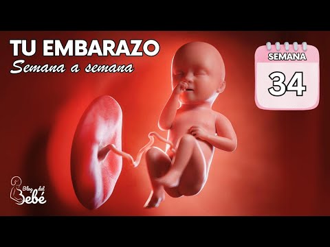 ❤️ Week 34 of Pregnancy 🤰 Symptoms, Tips, and Baby Development | Pregnancy Week by Week
