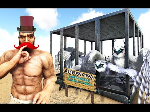 I Created a Zoo, Where "If You Can Catch It, You Can Keep It!" | Risk it for the Biscuit 5 | Ark