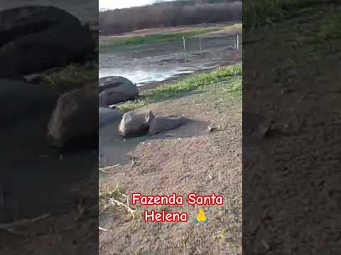 fazenda Santa Helena Itaú Rio grande do Norte