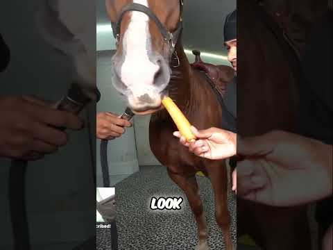 Mastering the Swing: Feeding Fears and Fun!