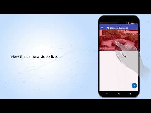 IP Camera Monitor Video