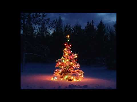 [FREE] rxseboy x powfu lofi type beat - "together again"