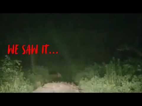 youtube embeded image