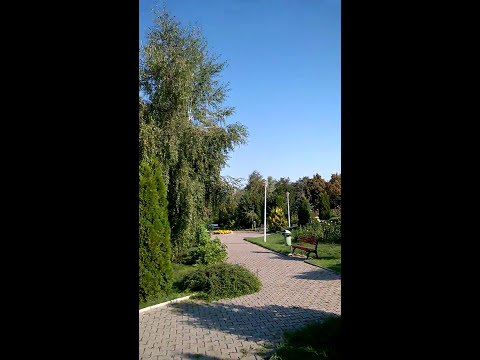 BANDSCAN FM Vaslui 13.08.2017