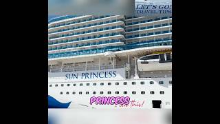 Sun Princess Elite Lounge: Buffet GONE, Tray Service Arrives! #shorts