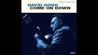 David Gogo - So Into You