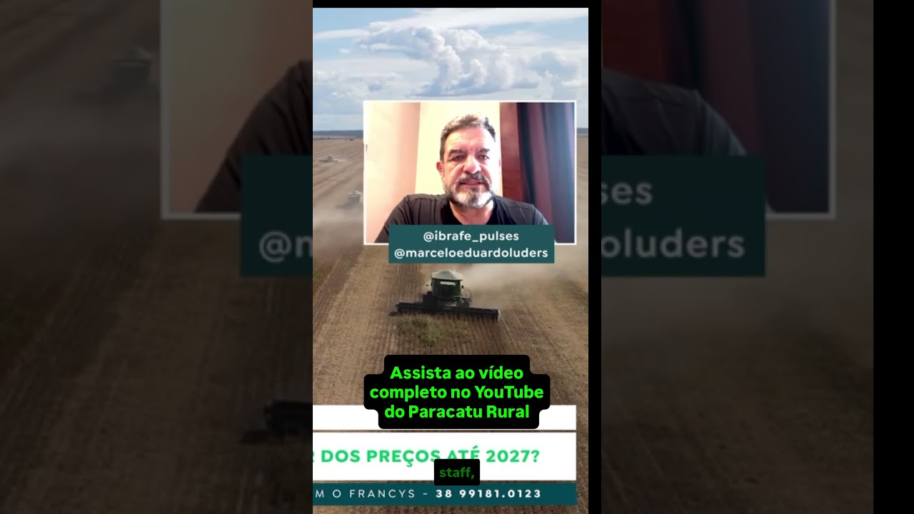 Feijão preto e carioca em alta: o que esperar dos preços até 2027?