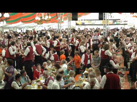 Wir Musikanten / KMF 2011, Baindt