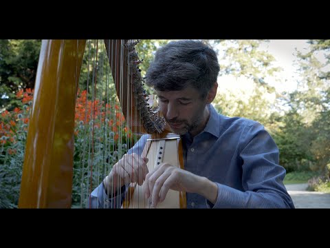 Bach's Toccata - Music video from Harpist in the Wild