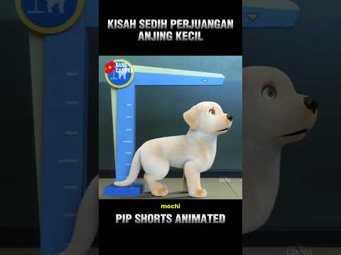 KISAH SEDIH PERJUANGAN ANJING KECIL