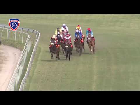 RM7 R7 | Varside | M.Nunes