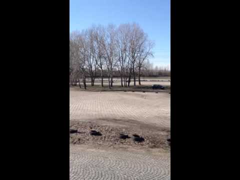 2016 Rajd Wielkanocny