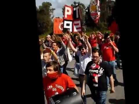 Papa Tintos Magico Lamas