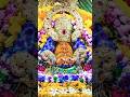 Shyam Baba Status Khatu Shyam Status Khatushyamji Khatushyam Shorts Youtubeshorts Viral