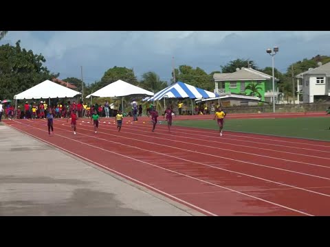 Red House reigns at Wesley Hall Junior School sports