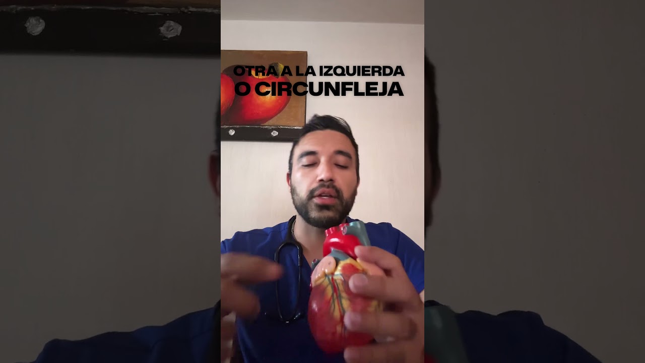 Javier Enrique Cervantes Salazar-5