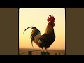 Roosters got a mission (Radio Edit)