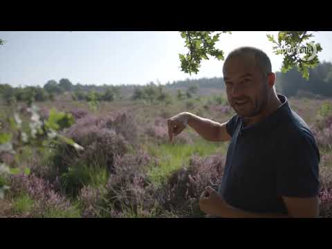 Zeldzame slang keert langzaam terug bij Groesbeek - BuitenGewoon