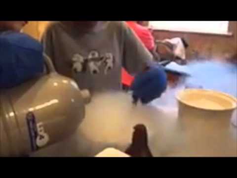 Liquid Nitrogen Icecream