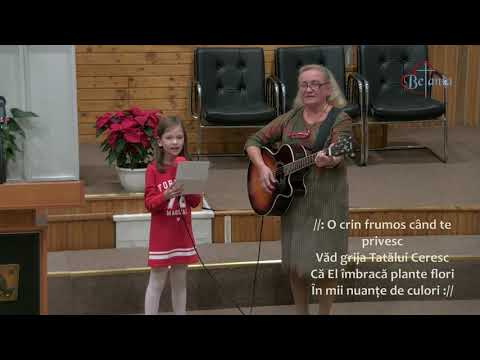 Priviti pe camp la florile de crin - Anna Danut -