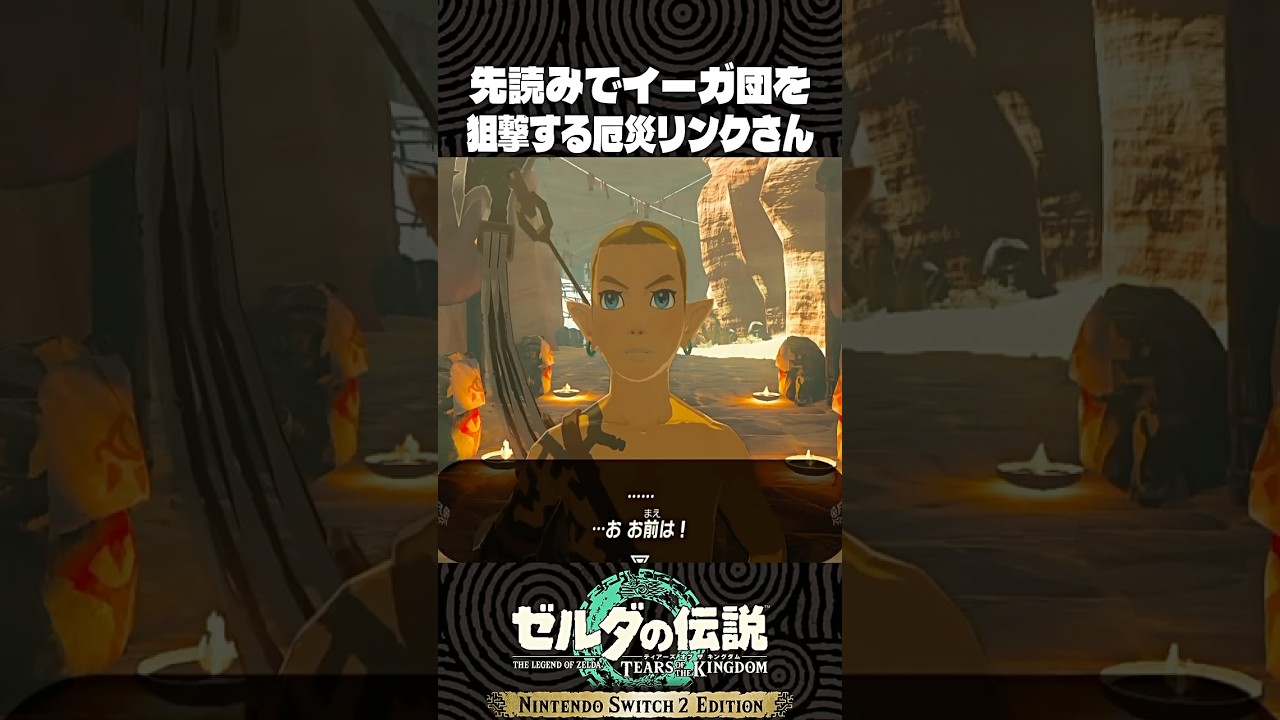 先読みでイーガ団を狙撃する厄災リンクさん【ゼルダの伝説 ティアキン】