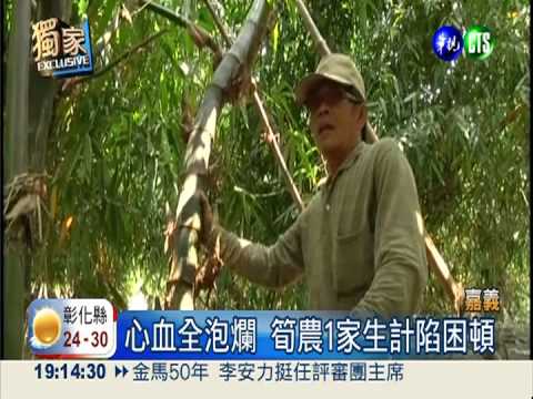 筍園變泥土堆! 筍農生計陷困境