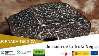 Jornada de la trufa negra