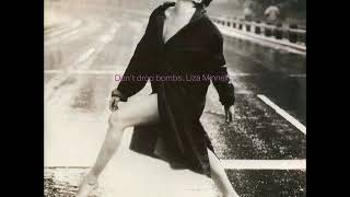 Liza Minnelli - Don&#39;t Drop Bombs (Stephen Gilham - PHD Extended Mix)