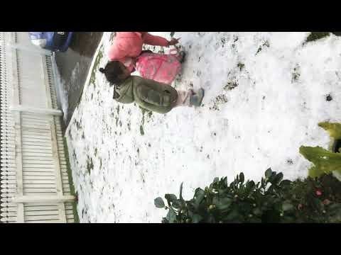 Wellington Snow 🥶