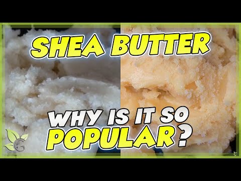 Yellow V/S White Shea Butter