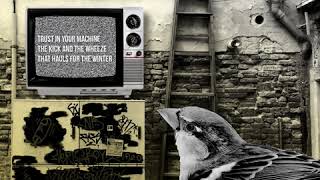 18 Grizzly Bears - Wasted Acres