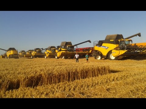 Moisson dans le Puy De Dôme (100%NH)